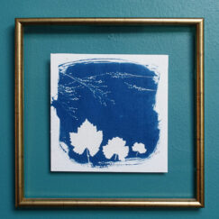 Cyanotype 10 - Cyanotype n°10 - Valérie Gho - tableau contemporain