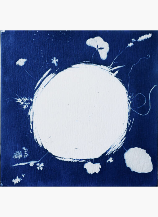 Cyanotype 14- Valérie Gho - artiste contemporaine