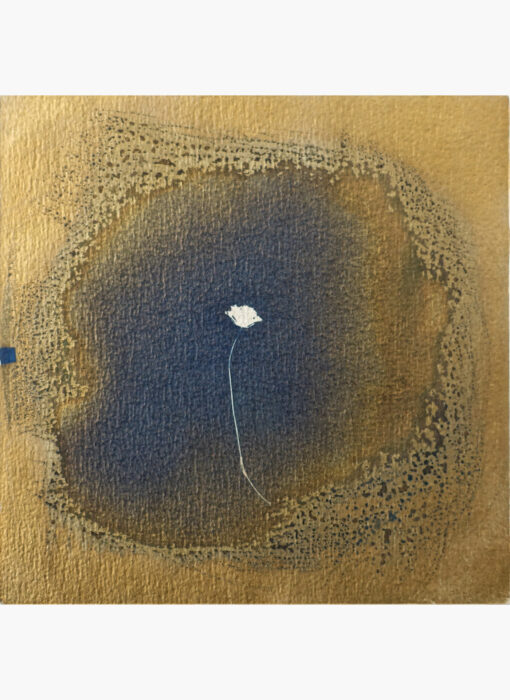 Cyanotype 17- Valérie Gho - artiste contemporaine
