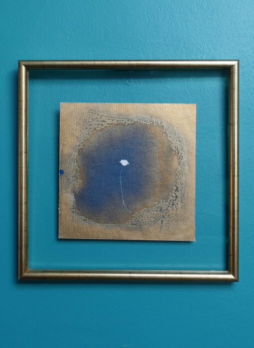 Cyanotype 17- Valérie Gho - tableau contemporain