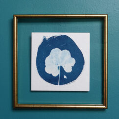 Cyanotype 6 - oeuvre sur papier - Valérie Gho - artiste contemporaine