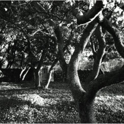 Bibemus Sainte-Victoire- José Nicolas - photographe contemporain