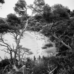 Porquerolles Plage d'argent - José Nicolas - photographe contemporain