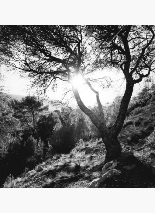 Sainte-Victoire (N&B2) - José Nicolas - photographie contemporaine