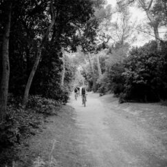 Porquerolles Vélos - photographie contemporaine - José Nicolas - détourée