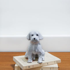 Chiot assis 1 - sitting puppy 1 ceramic - Bennie - céramique contemporaine - mise en scene  