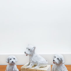 Chiot assis 1 - sitting puppy 1 ceramic - Bennie - céramique contemporaine -ensemble